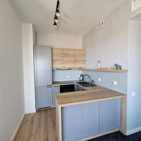 Hanza Tower 22 Floor - 3 公寓 什切青